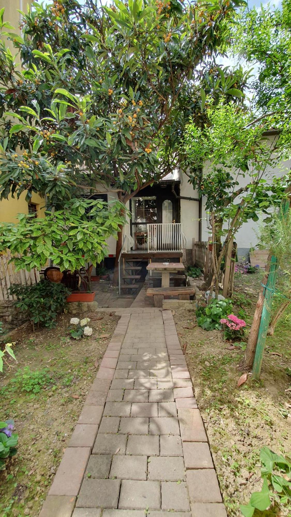 Apartmaji Mila Piran Apartment Exterior foto